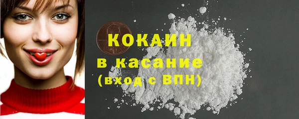 apvp Алексин