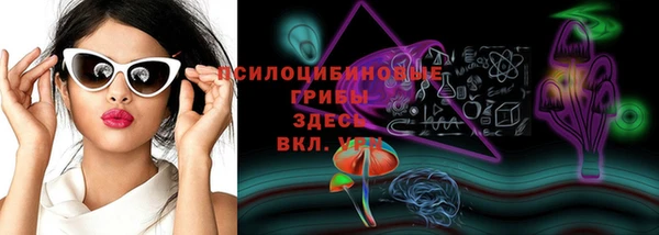 apvp Алексин