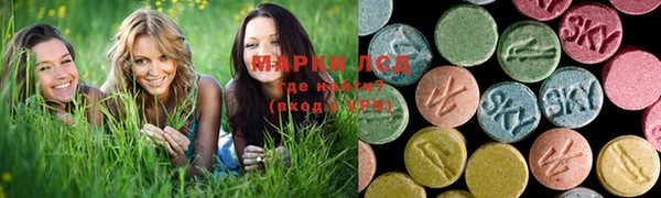 спиды Алзамай