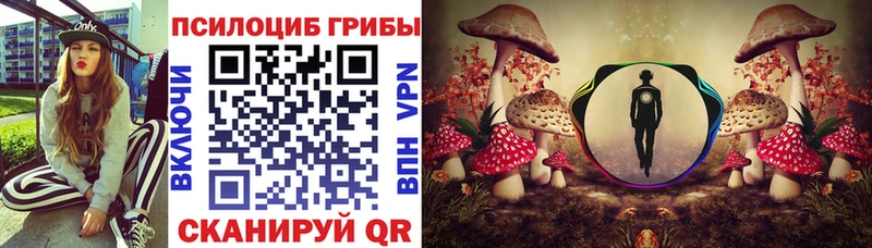 Галлюциногенные грибы Psilocybe  Вологда 
