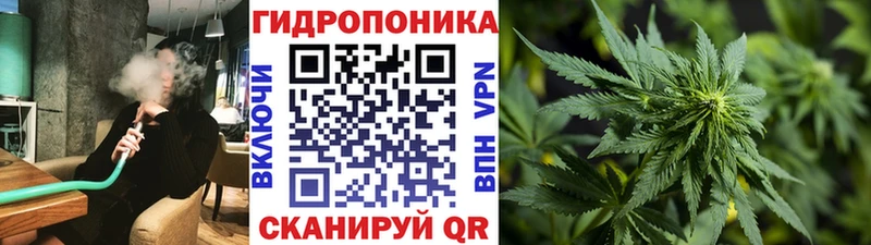 как найти наркотики Вологда Бошки марихуана сатива